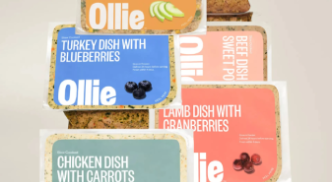 Ollie Dog Food Delivery Review