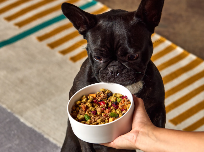 PetPlate Dog Food Delivery Review 650