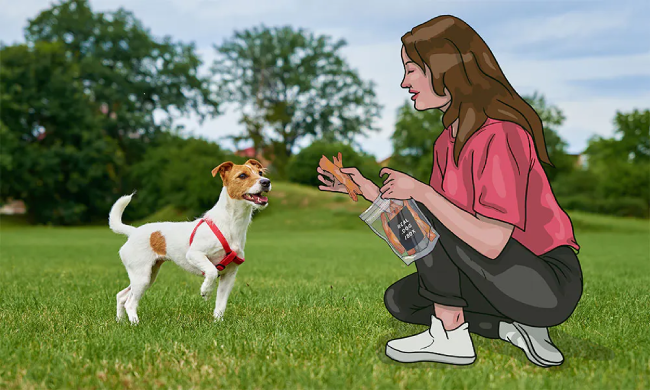 Real Dog Food Delivery Review 650 2nd