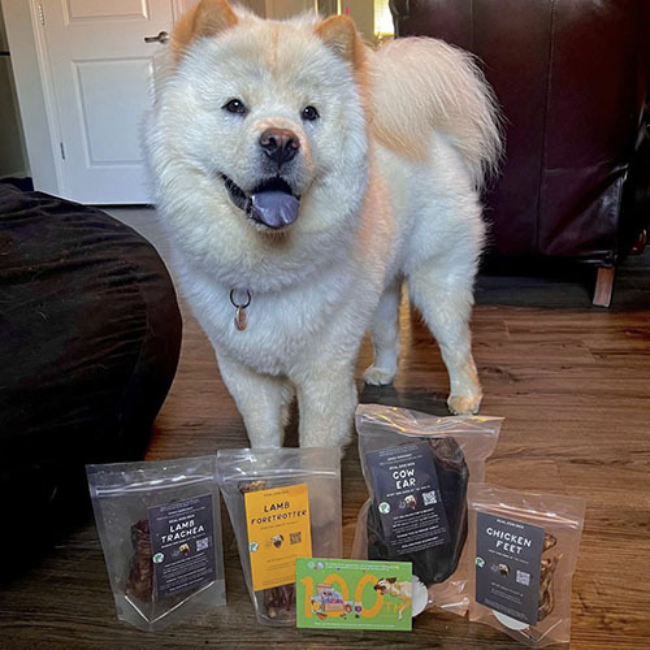 Real Dog Food Delivery Review 650